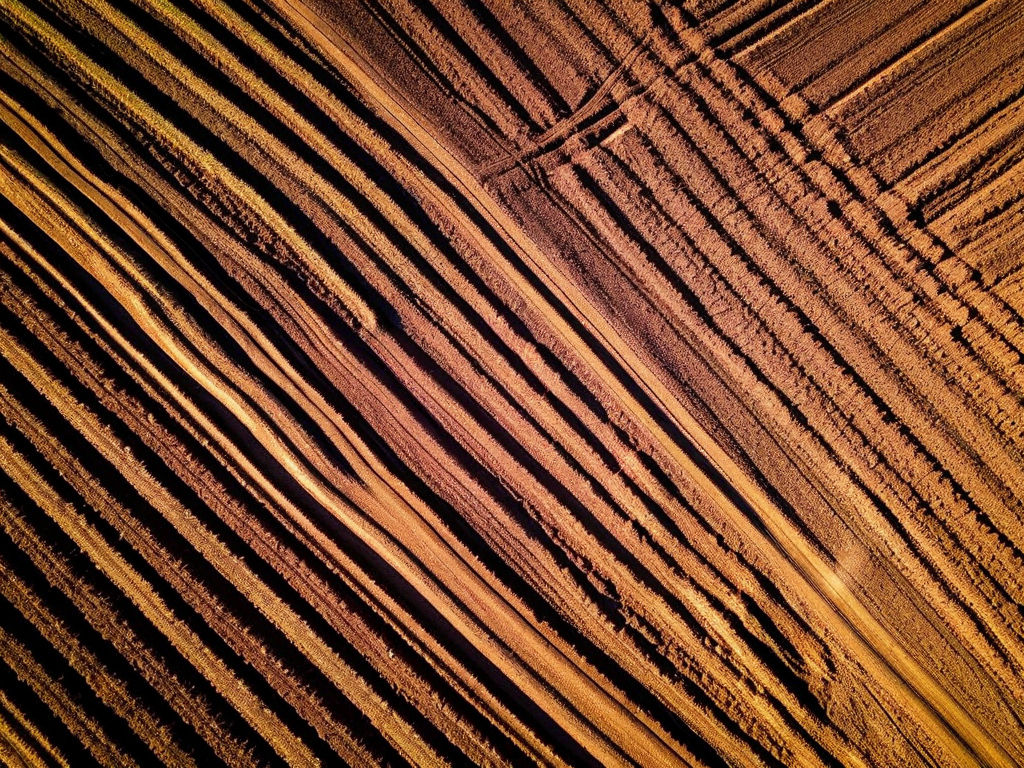 Farm field rows from above with tractor tracks pattern